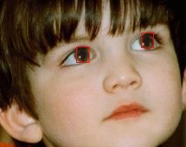 Red-eyed photo with highlighted blobs.