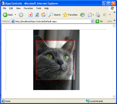 Cropping selection screenshot