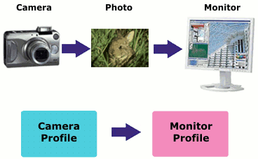 Color conversion diagram