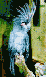 32 colors image with Floyd-Steinberg dithering 