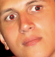 Red-eyed photo with highlighted blobs.