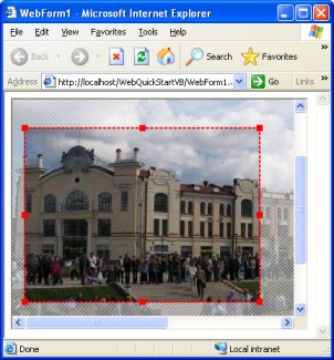 Cropping selection screenshot