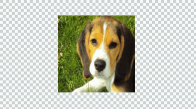 Creating PlaceholderVObject