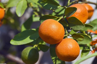 Clipping path source image